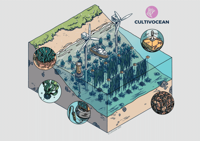 gráfico mostrando uma fazenda de algas marinhas ao lado de turbinas eólicas offshore