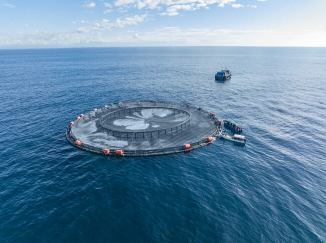 offshore aquaculture pen