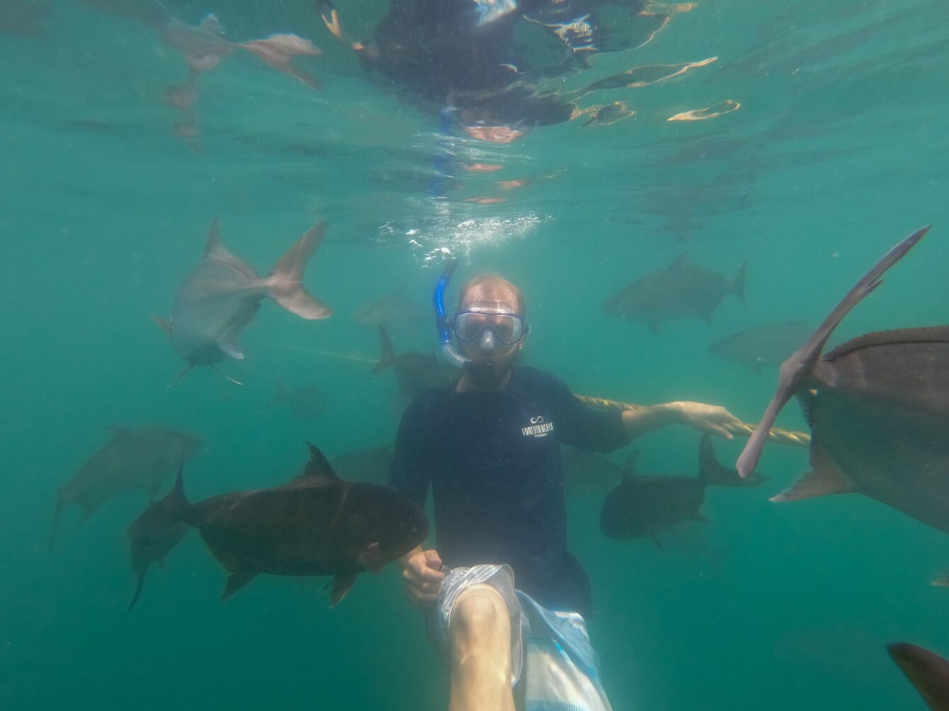 a man swimming in a fish pen