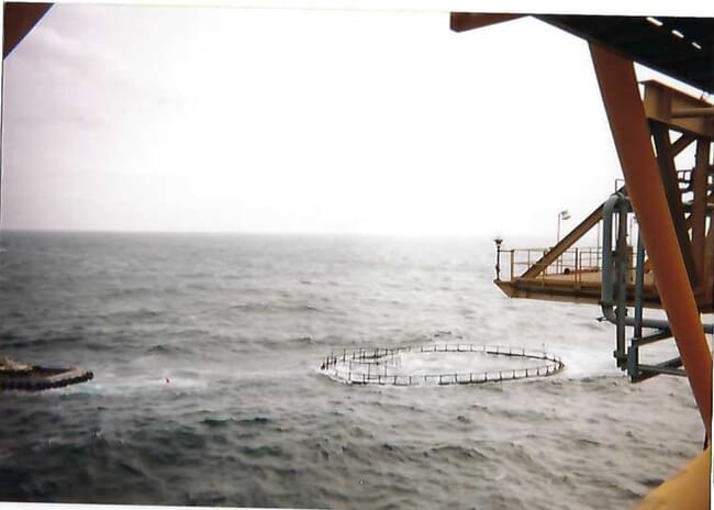 view of aquaculture net pens in choppy water