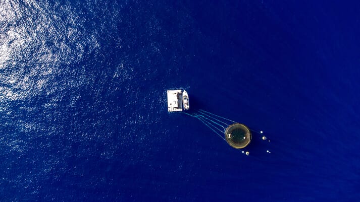 aerial view of an offshore enclosure
