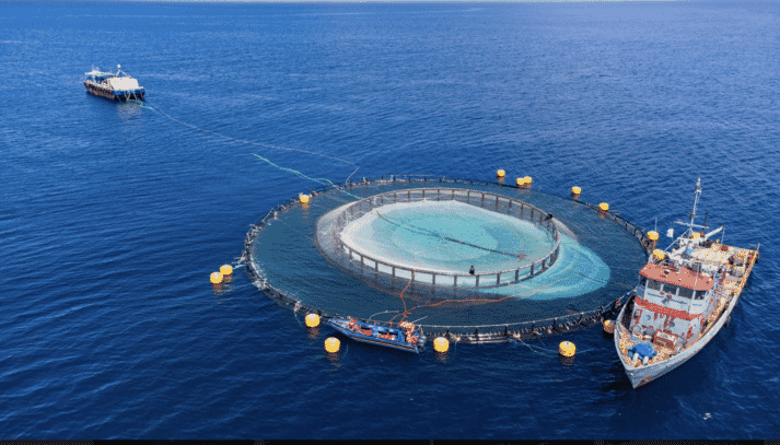 two ships and an offshore aquaculture cage