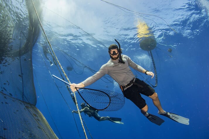 diver swimming next to a fish pen