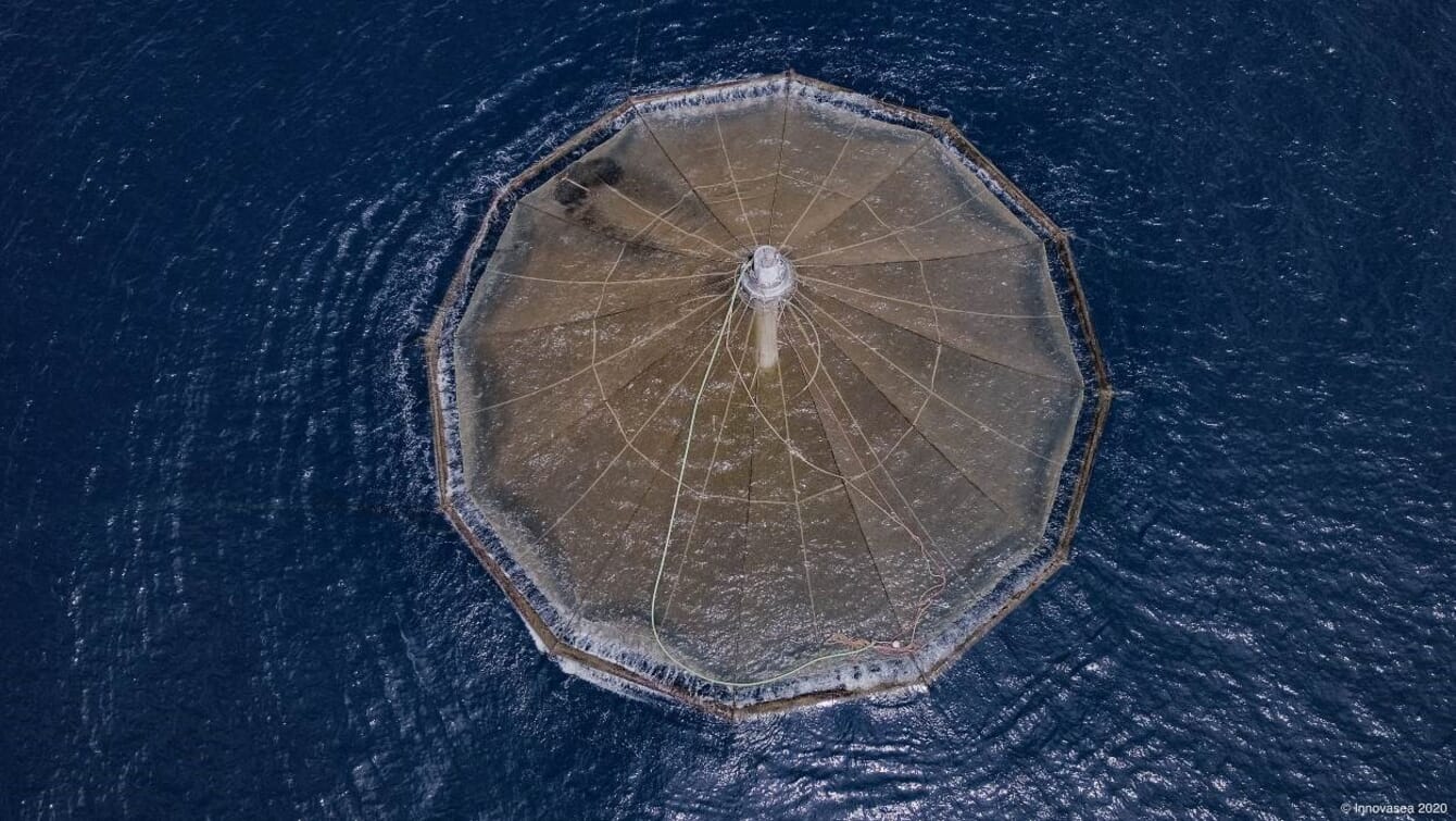 aerial view of a fish farm pen