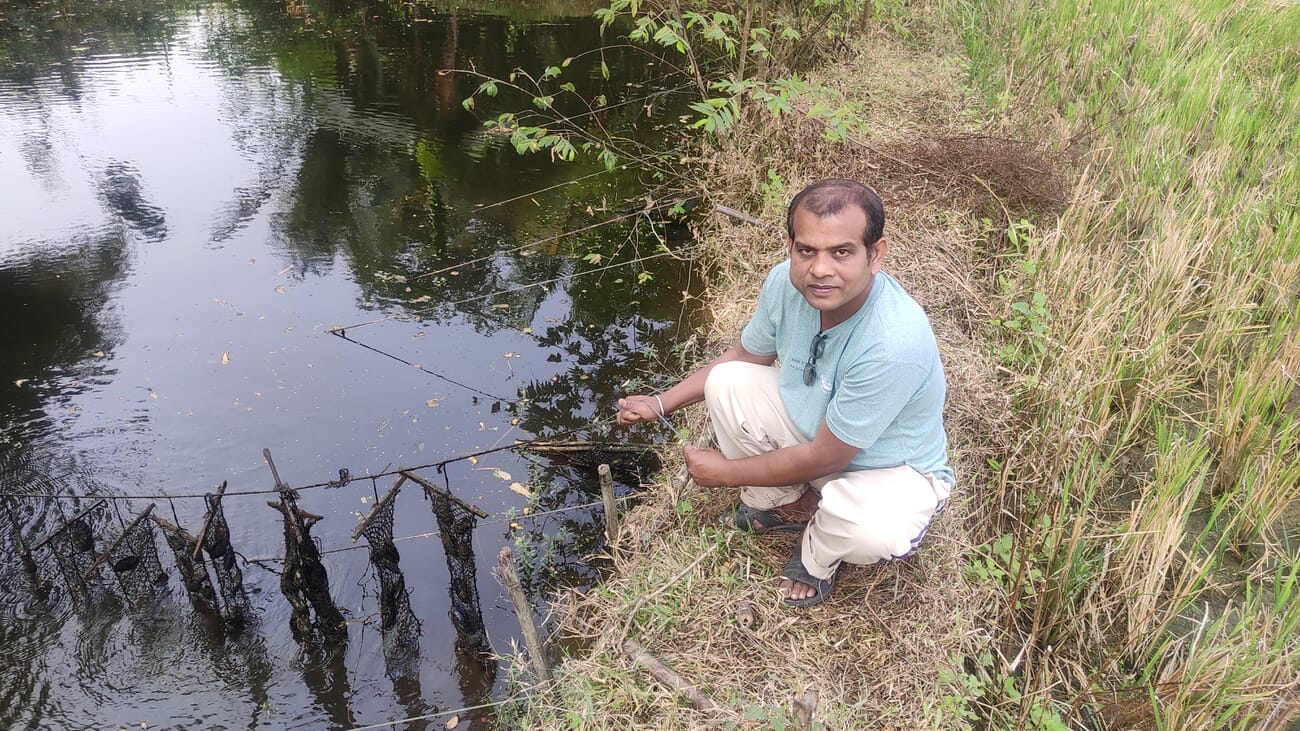 Pearl earnings why mussel farming is booming amid lockdown in India