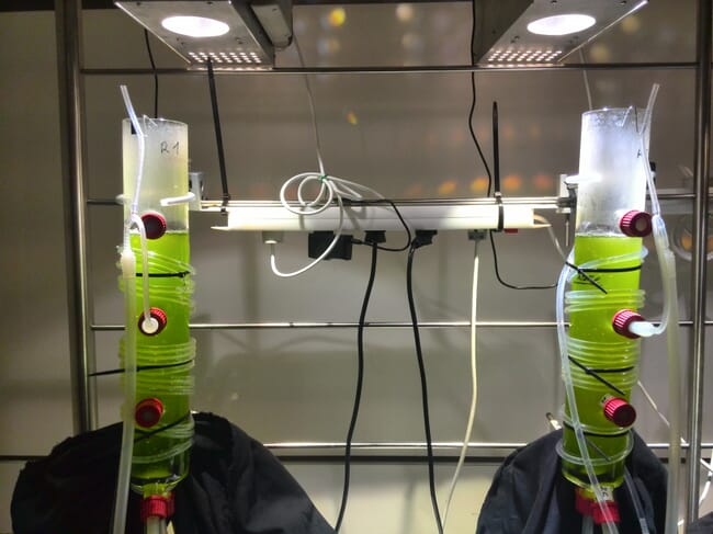 Equipamento de pesquisa mostrando líquido verde em tubos transparentes