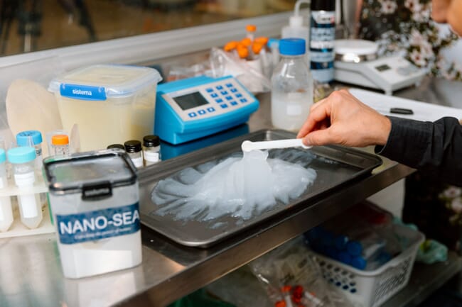 A close of of nanocellulose produced from aquaculture seaweed.