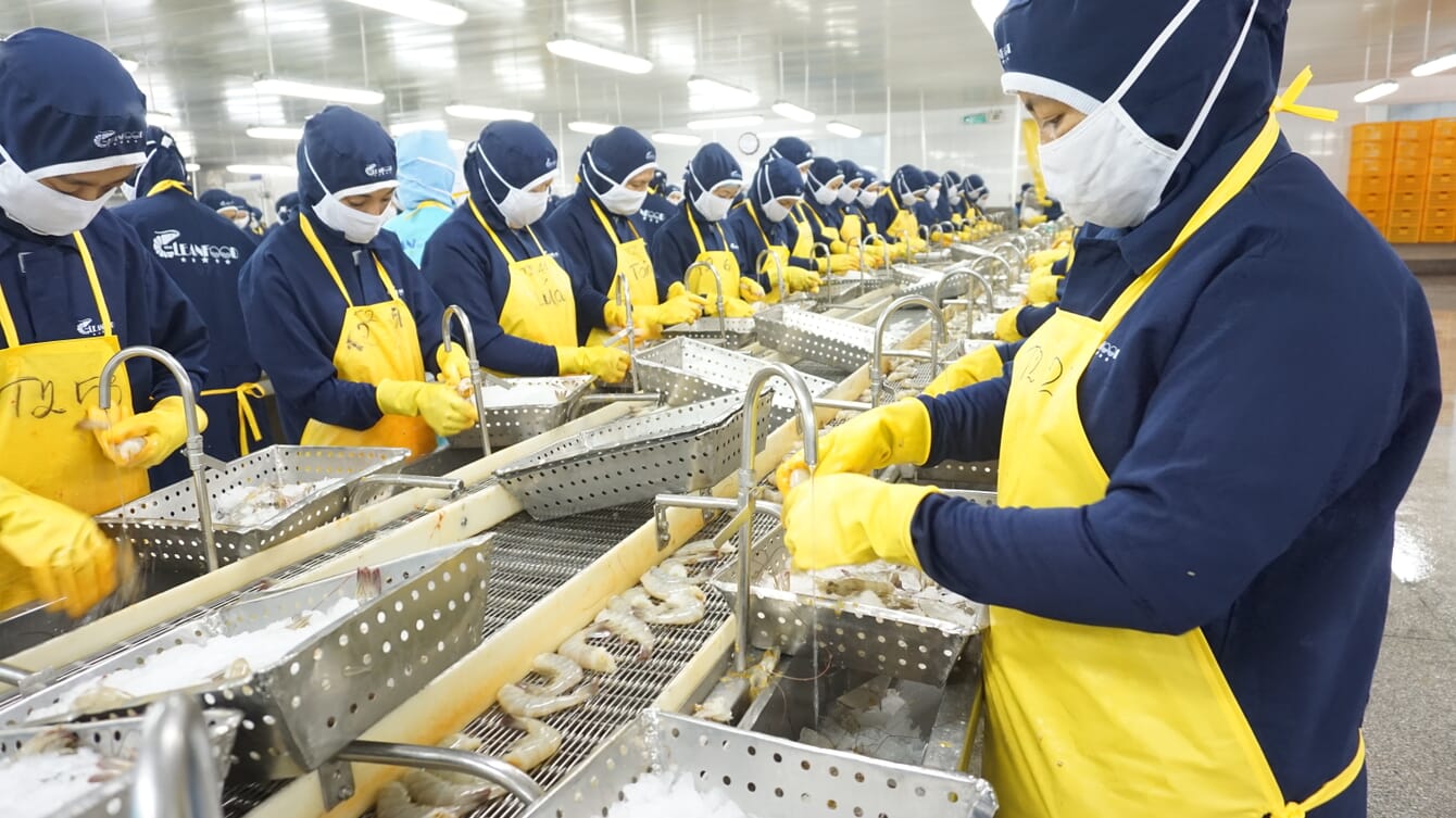 Pessoas em uma fábrica de processamento de camarão