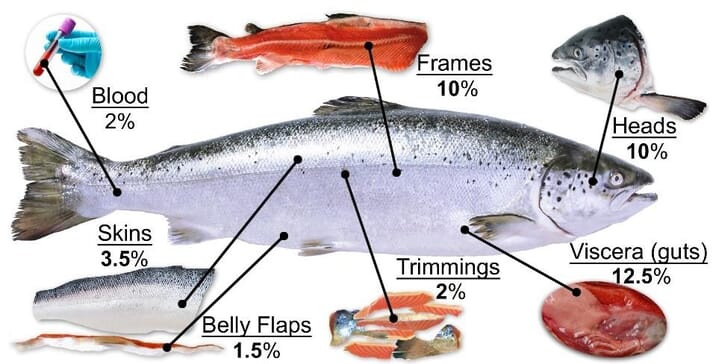 By-products of salmon processing