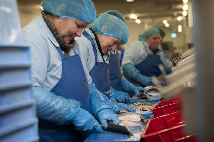 fish processing workers