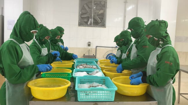 shrimp processing