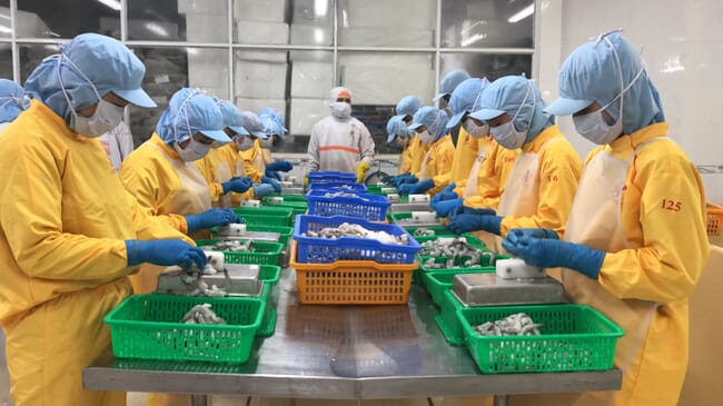 shrimp processing