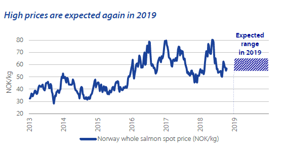 Norway whole salmon spot prices 2013-19