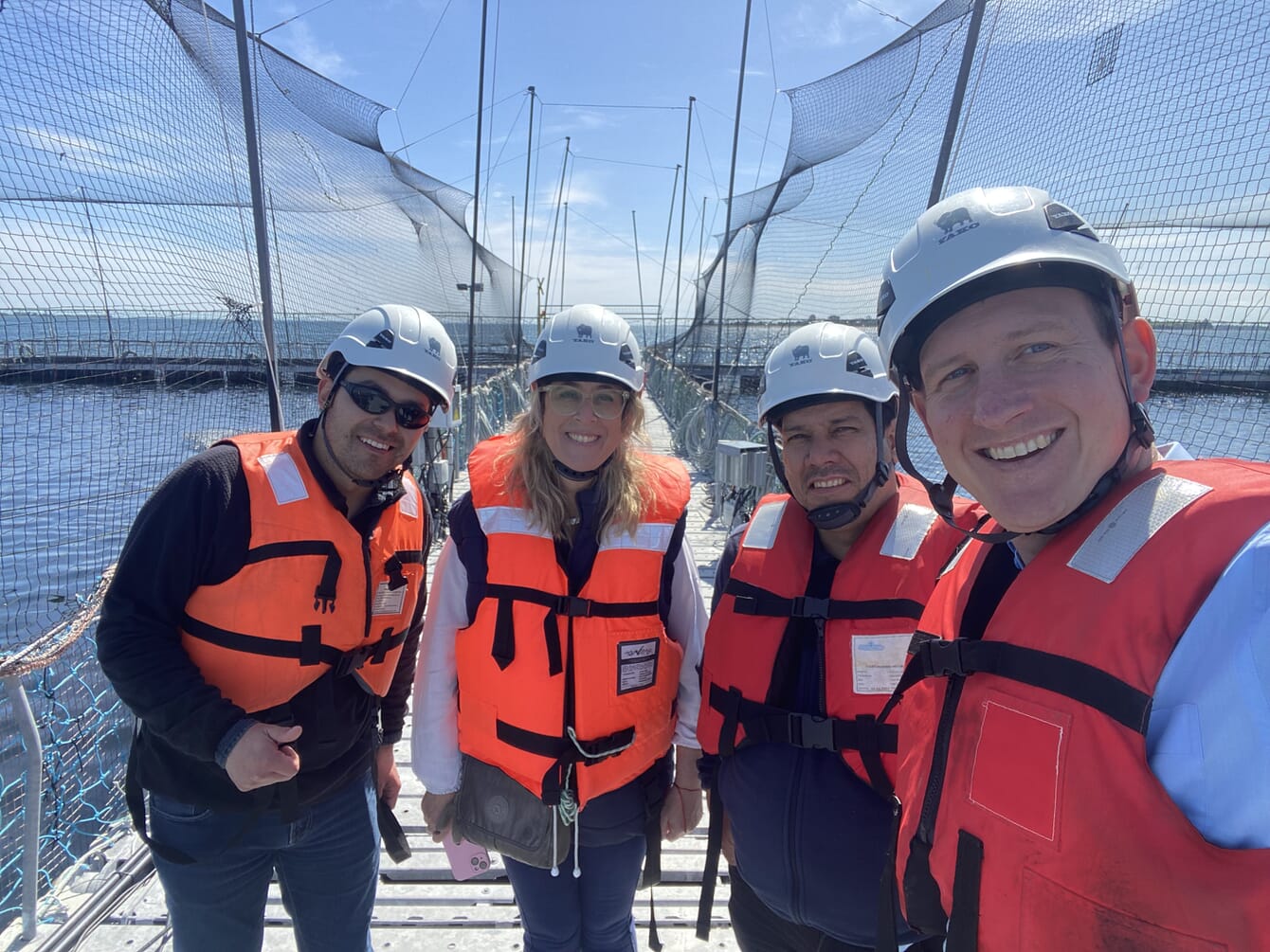 Four people standing on a salmon pen.