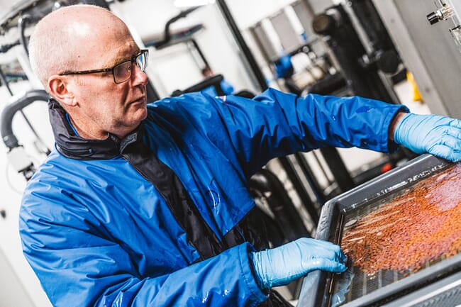 a man examining a tray of salmon eggs