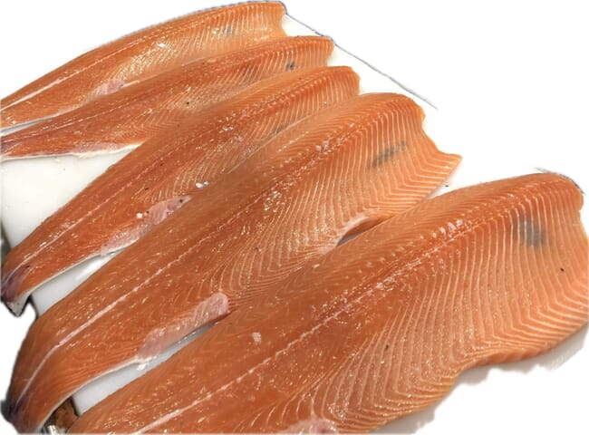 Several salmon fillets, all containing some black spots