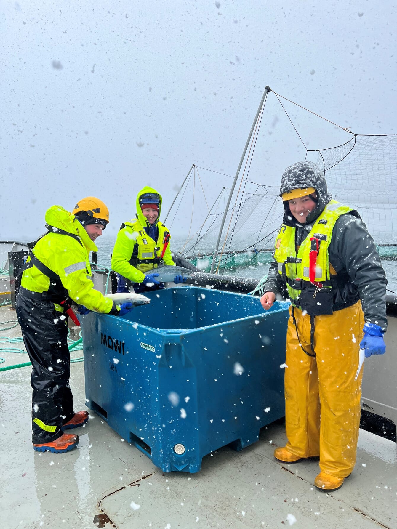 workers on a fish farm