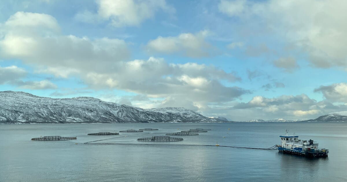 Norge skal være vertskap for ny akvakulturinnovasjon
