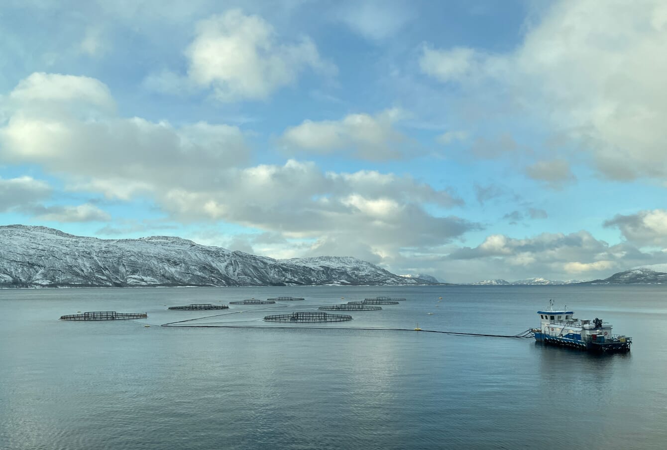 salmon pens in front of snowy mountains