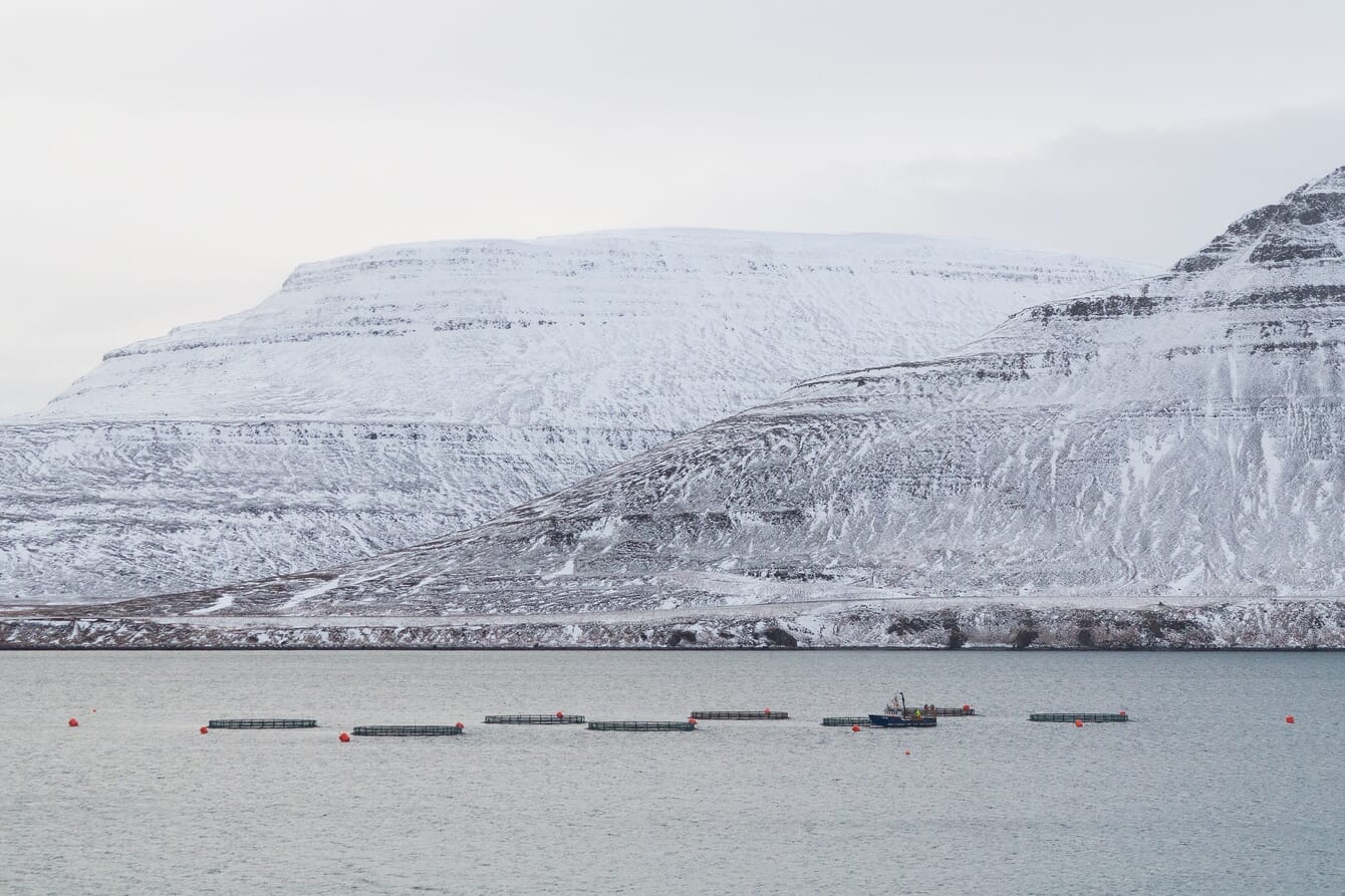 Fish pens in front of snowy mountains