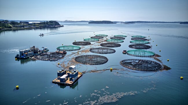 An aerial view of a salmon farm.