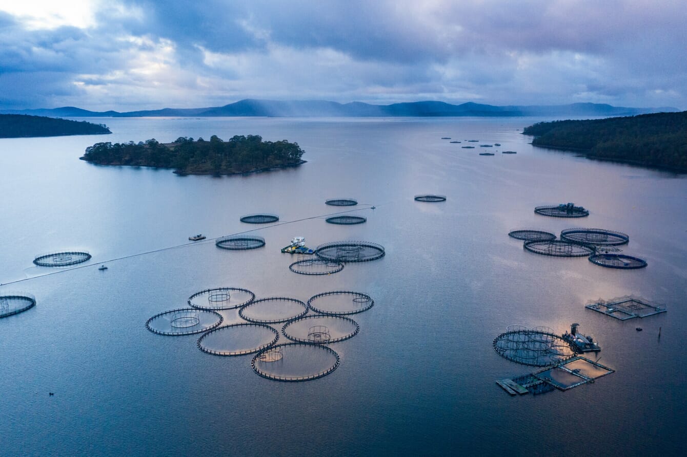 Aerial view of a salmon farm.