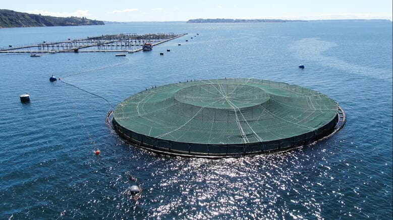 What is on salmon aquaculture’s tech horizon? | The Fish Site