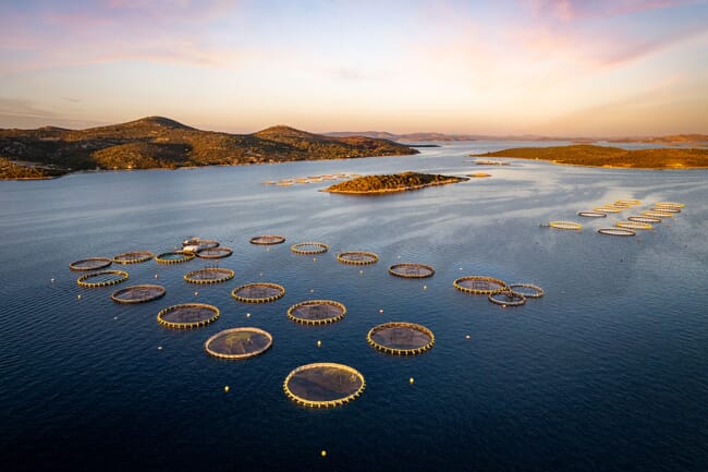 An aerial view of salmon pens.