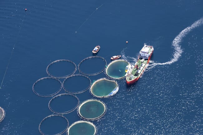 Aerial view of fish pens and work boats.