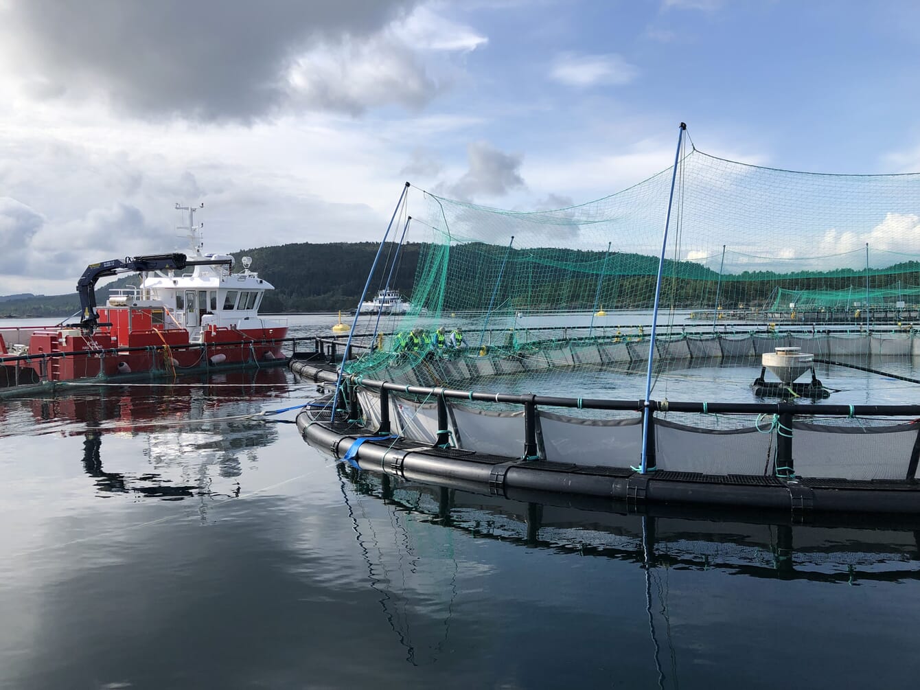 a salmon farm