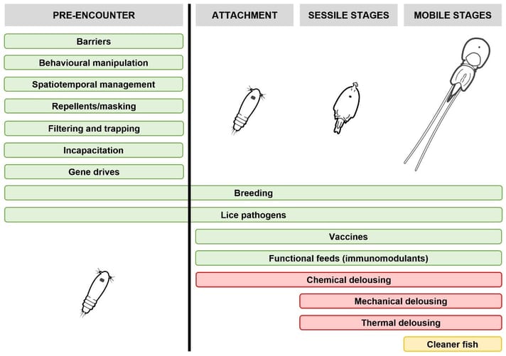 A diagram showing the lice stages targeted by different lice management strategies. Preventative methods are in green, while the most common lice removal methods are in red and orange