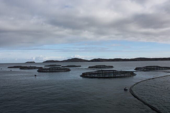 a series of fish cages
