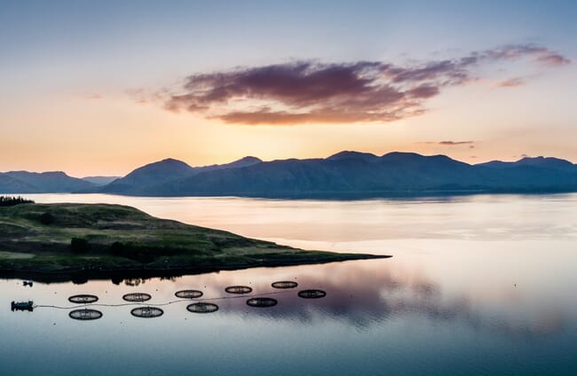 Ten fish sea pens in the water in foreground, a green peninsula in the middle, and moutains in the distance in Scotland.