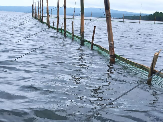 fencing in the water