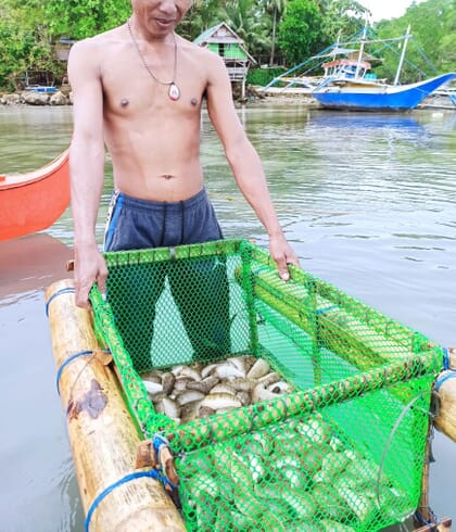 sea cucumbers in a basket