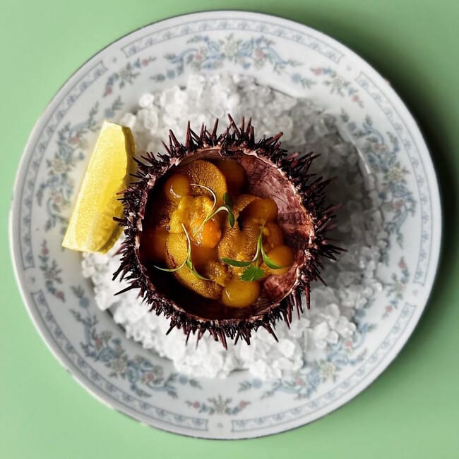 Prepared sea urchin.