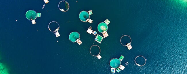 aquaculture cages in the Philippines