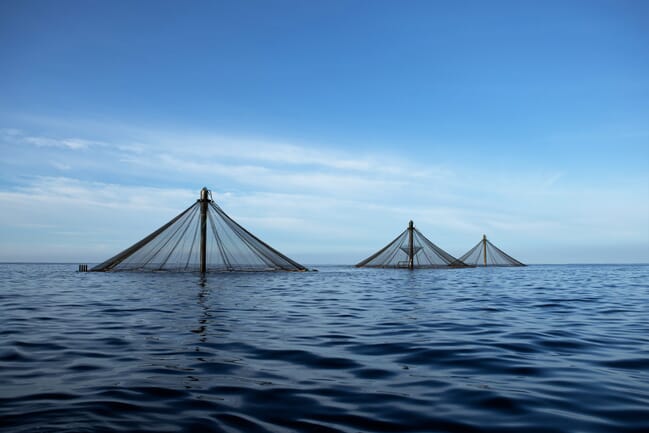 Covered sea pens in the open ocean