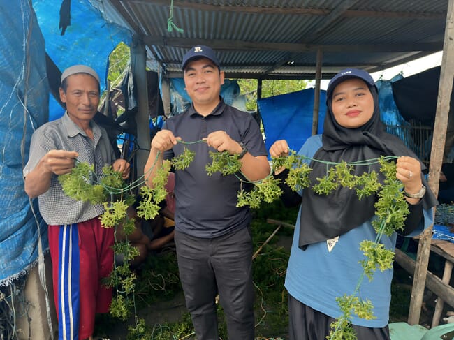 Dodon Yamin, cofounder and CEO of Banyu, with seaweed farmers