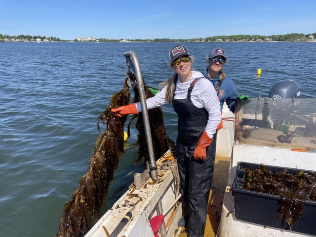 Cold Current Kelp founders Inga Potter and Krista Rosen.