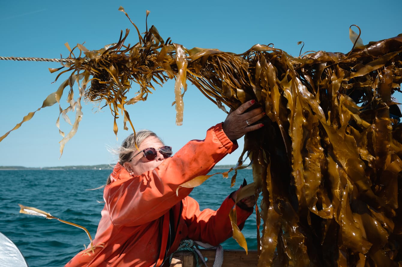 Seaweed farmer with harvest.