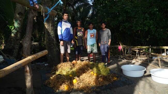 Joseph Faisan Jnr. with seaweed farmers.