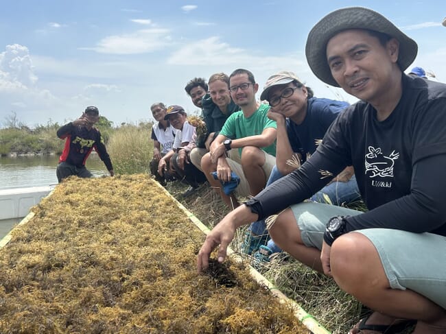 Produtores de algas marinhas Gracilaria na Indonésia.