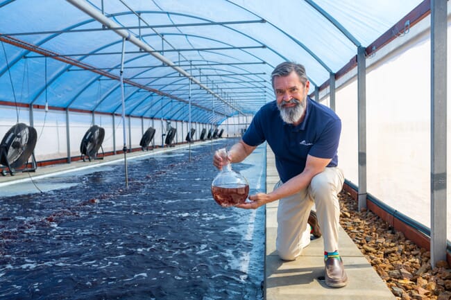 Steve Meller holding a flask of Asparagopsis seaweed.