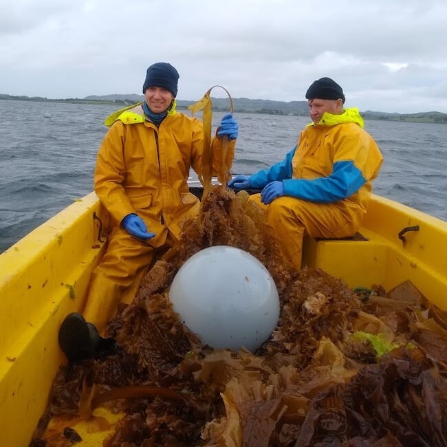 Steven Hermans at a seaweed farm.