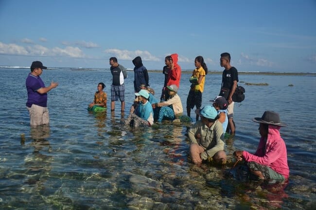 Seaweed farming