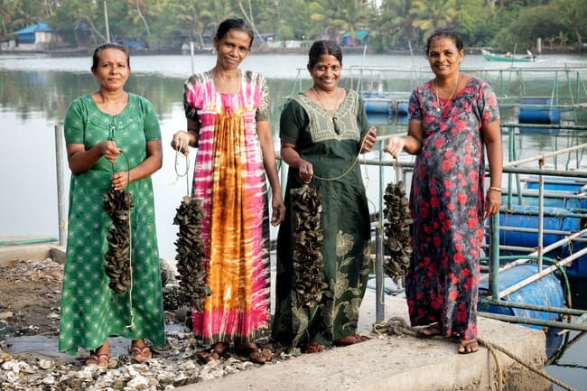 Women farming mussels.