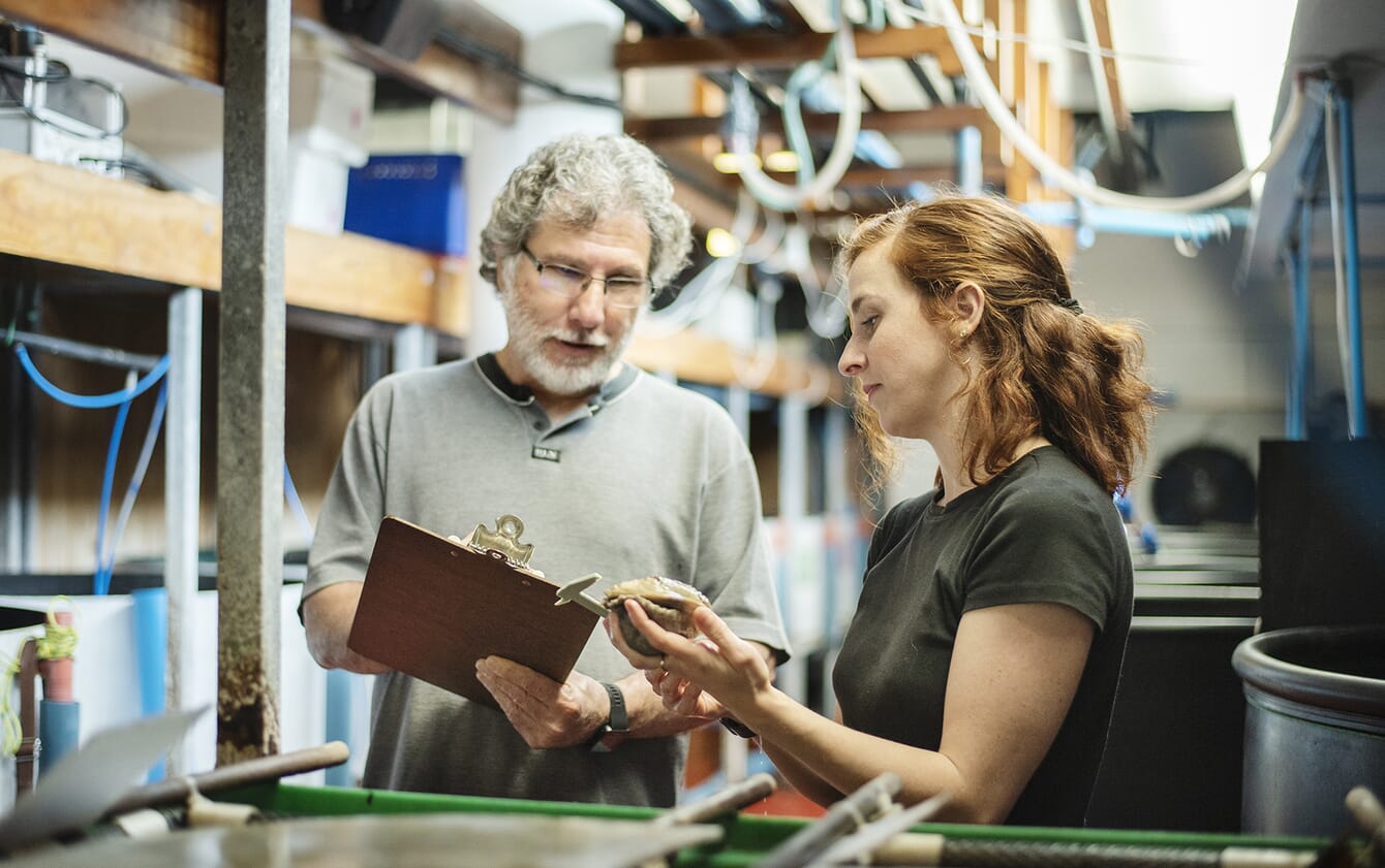 um homem e uma mulher comparando anotações em um laboratório