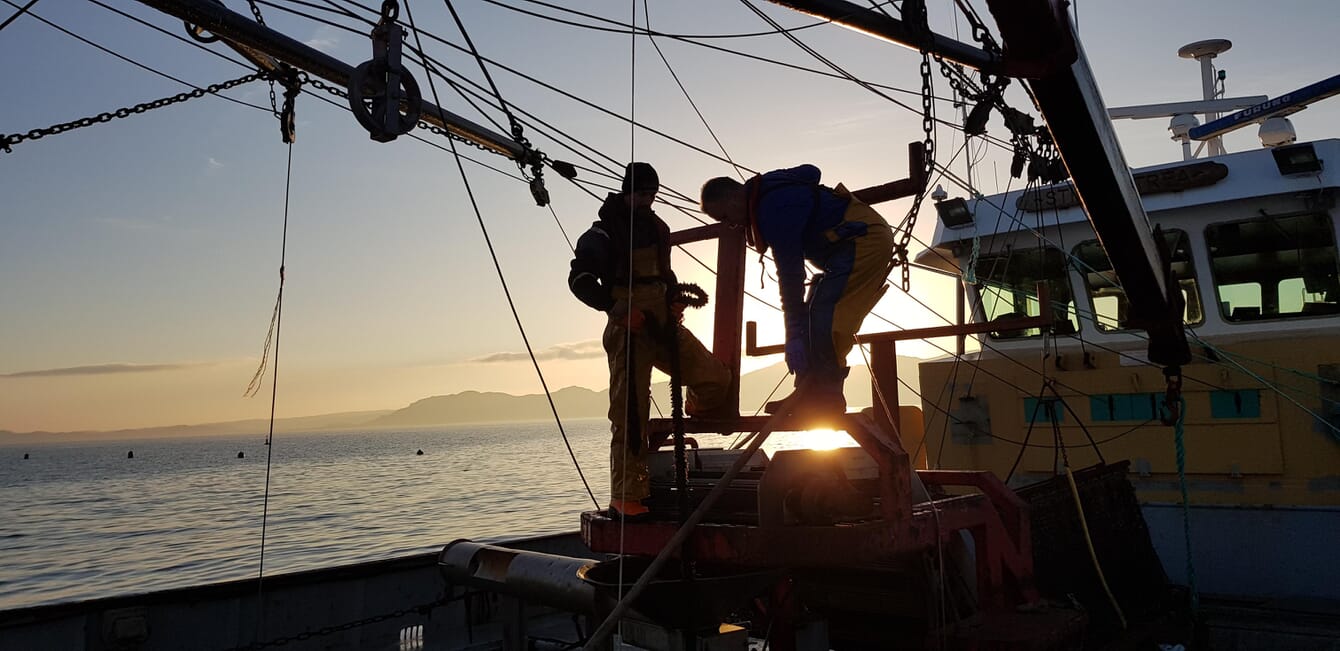 mussel farmers on a vessel