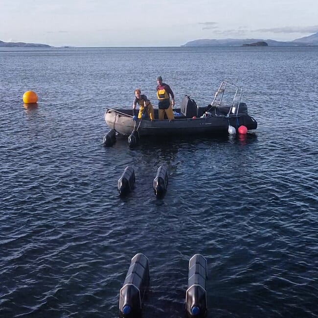 Oyster farmers tending cages.